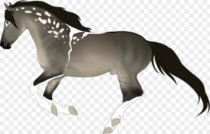 Mustang Mane Foal Stallion Pony Mare PNG