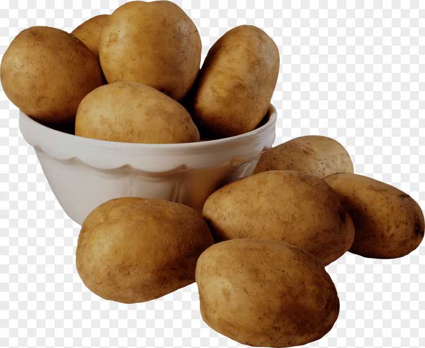 Potato Images Baked French Fries Hash Browns Food PNG