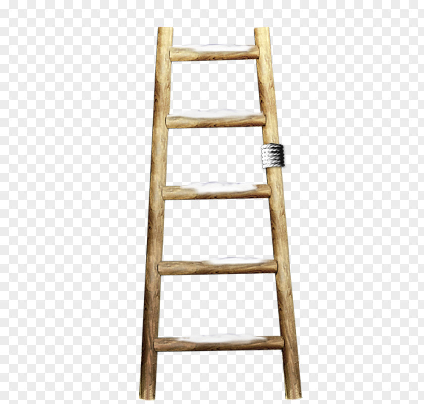 Stairs Ladder Wood Csigalxe9pcsu0151 PNG