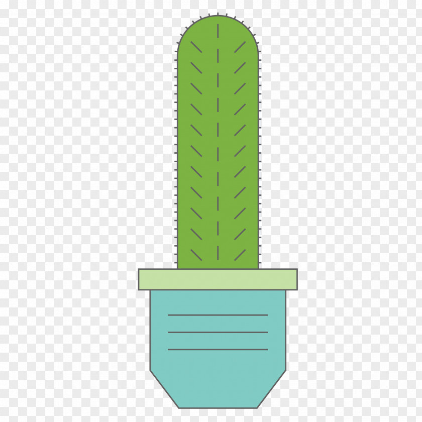 Cactus Potted Material Cactaceae Succulent Plant Houseplant PNG