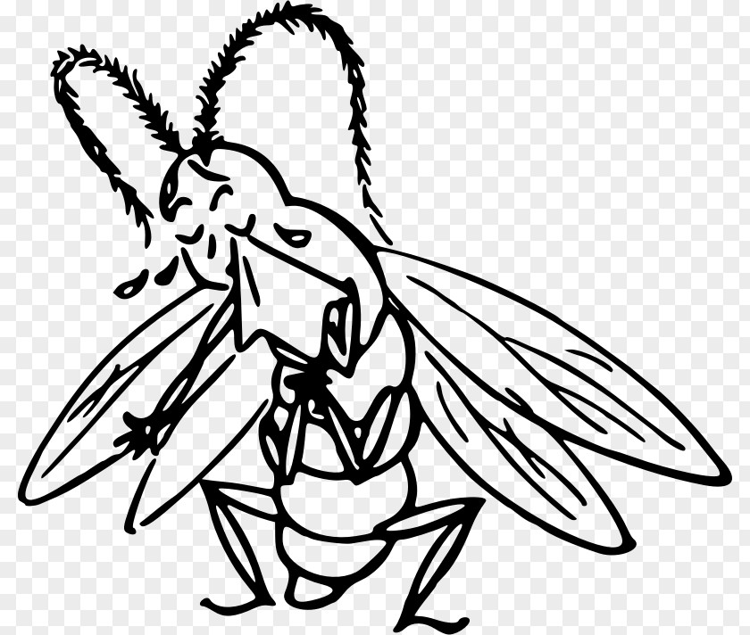 Cry Insect Drawing Clip Art PNG