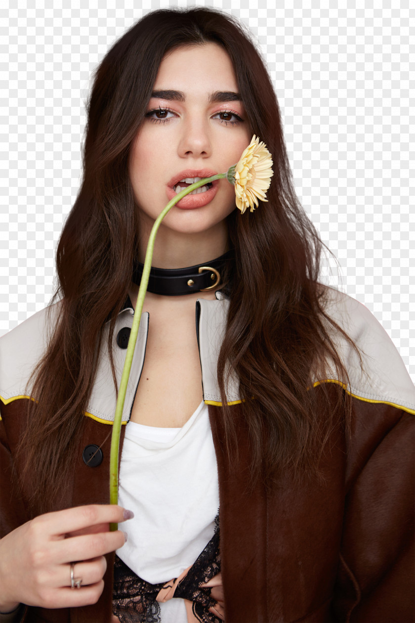 Dua Lipa European Border Breakers Award Singer-songwriter Musician Desktop Wallpaper PNG