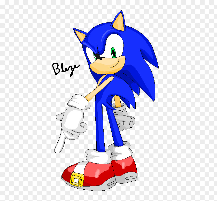 I Hate Sonic The Hedgehog Adventure 2 Rush PNG