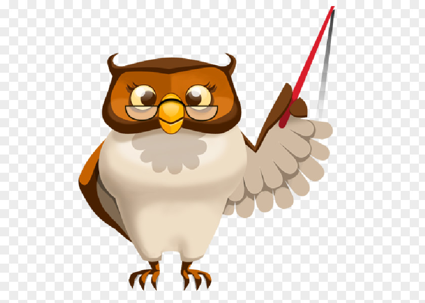 Owl Cute Teacher Education School Clip Art PNG