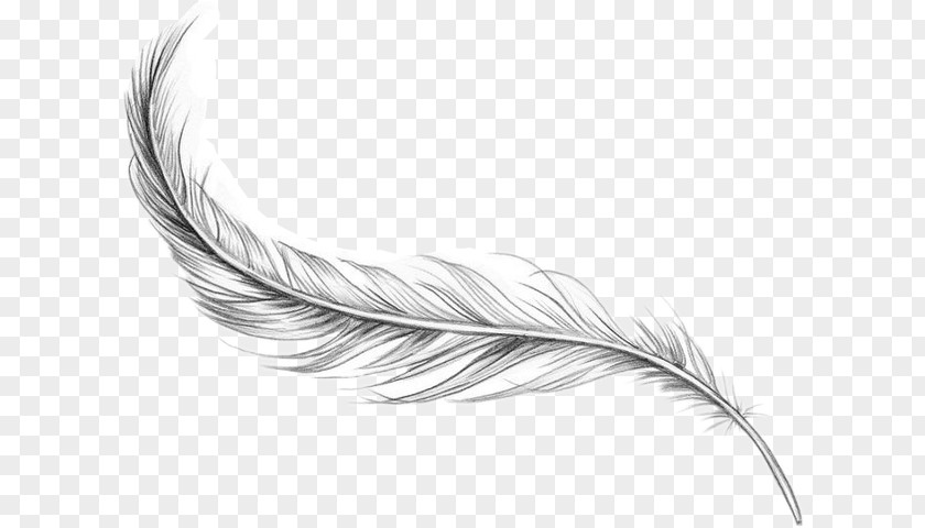 Bird Feather Tattoo Artist Ankle PNG