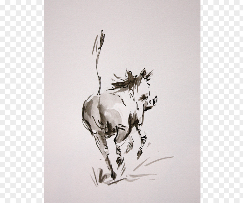 Deer Cattle Horse Hare Sketch PNG
