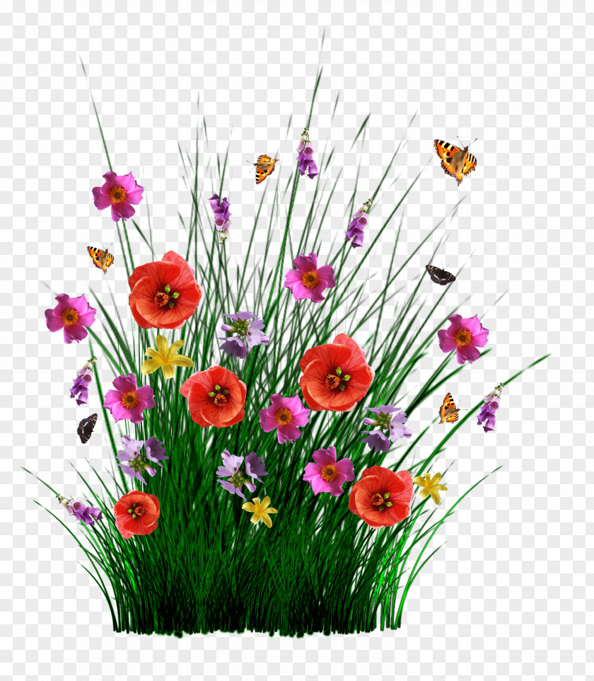 Flower Meadow Stock.xchng Image Vector Graphics Photograph PNG