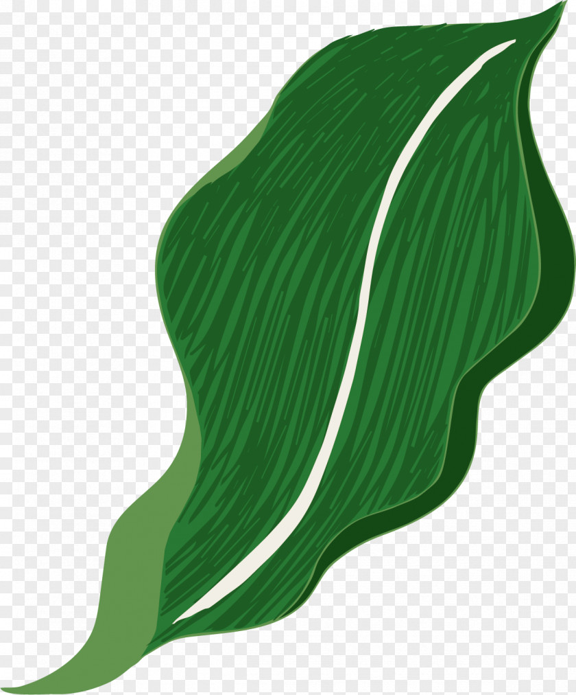 Hand Painted Green Leaves Leaf Designer PNG