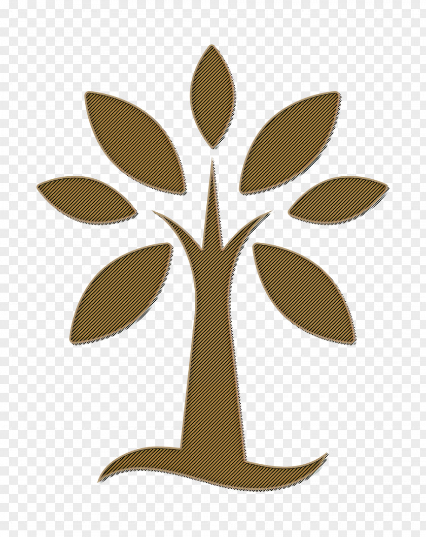 Nature Icon Tree Forest PNG