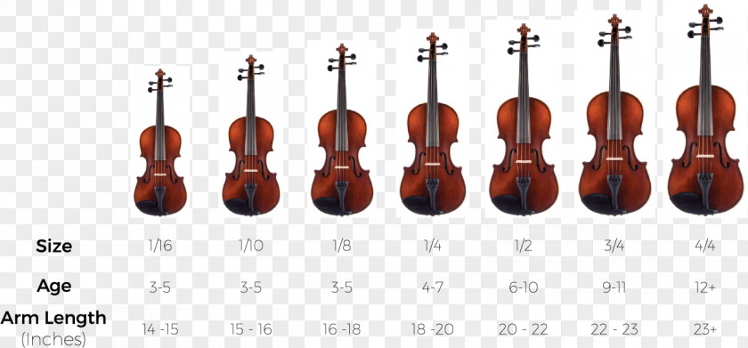 Size Chart Design Elements Bow Violin Cello String Instruments Viola PNG