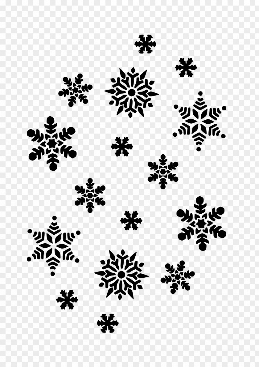 Snow Flakes Snowflake Black And White Clip Art PNG