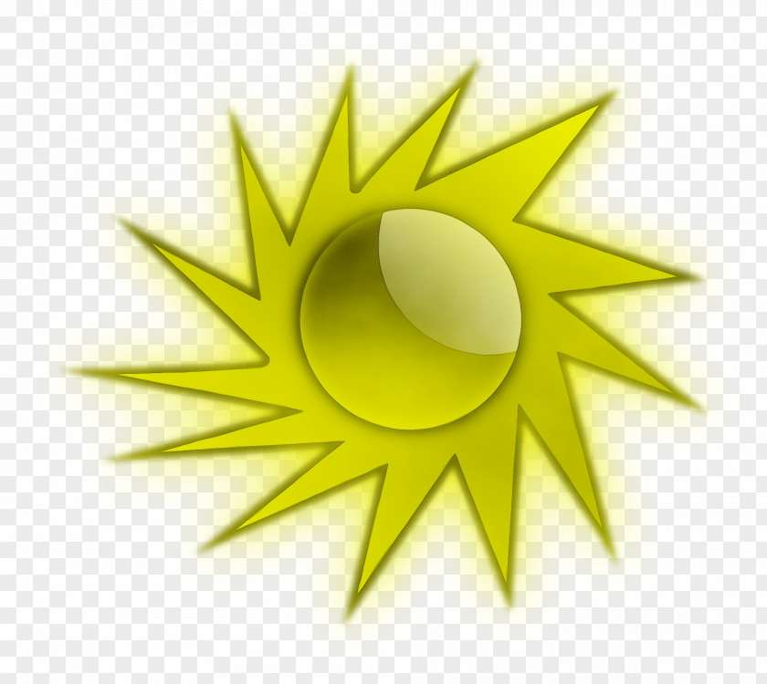 Symbol Plant Sun Drawing PNG