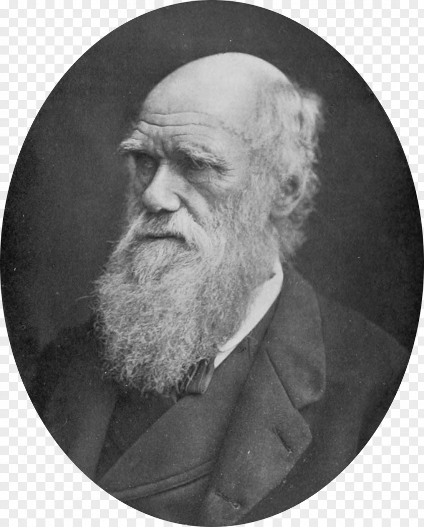 Andrews Charles Darwin On The Origin Of Species Voyage Beagle Evolution Scientist PNG