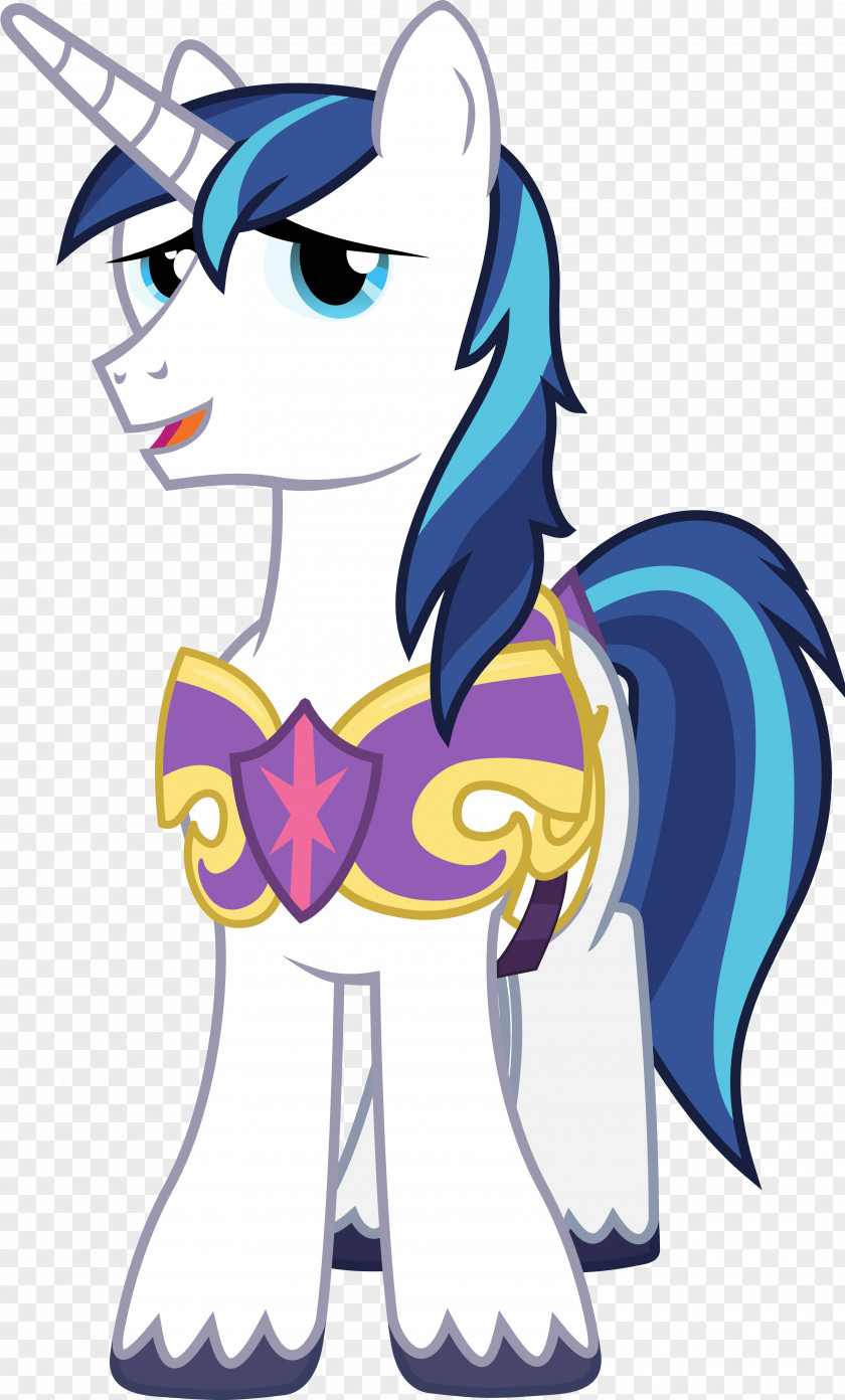 Armor Vector Princess Cadance Shining Twilight Sparkle Applejack Pony PNG