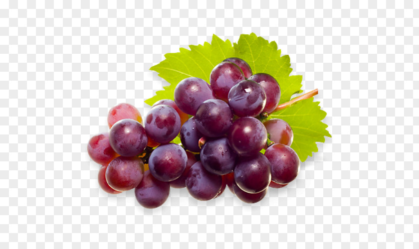 Grape Sultana Zante Currant Muscat Fruit PNG