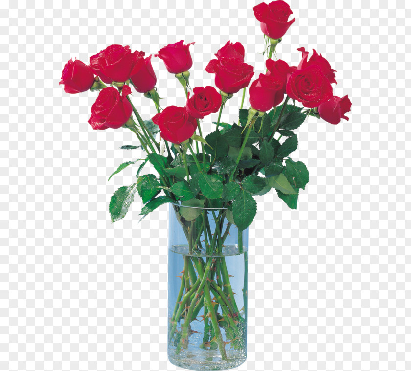 Vase Garden Roses Cabbage Rose Flower PNG