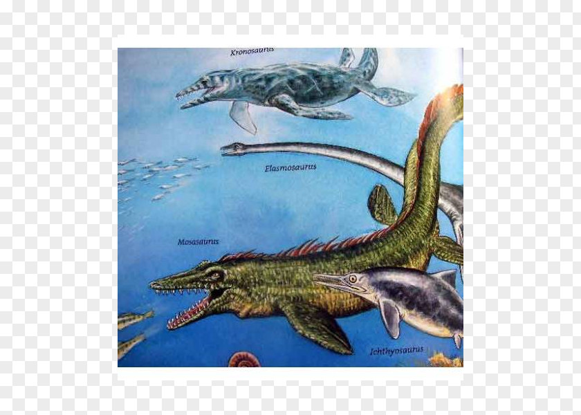 Dinosaur Fauna Ecosystem Fish PNG