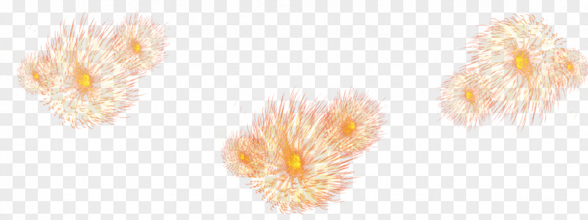 Fireworks Floating Element Light Fixture Petal Yellow Body Piercing Jewellery PNG
