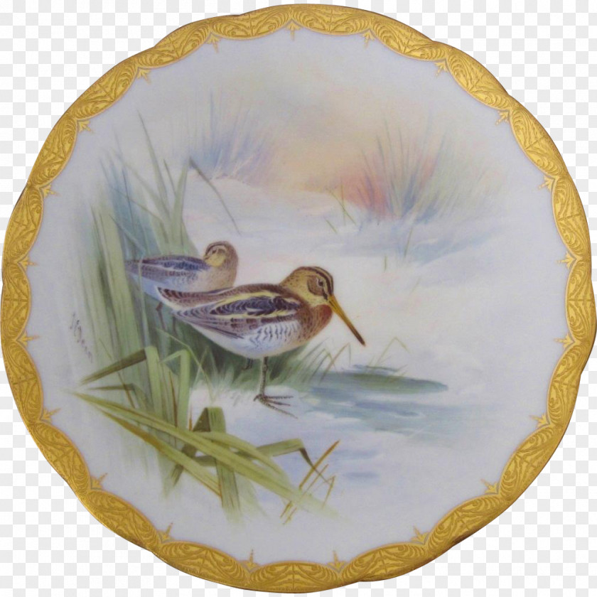 Hand-painted Birds Duck Bird Tableware Platter Anatidae PNG