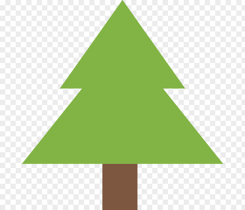 Oregon Pine Conifer Christmas Tree PNG