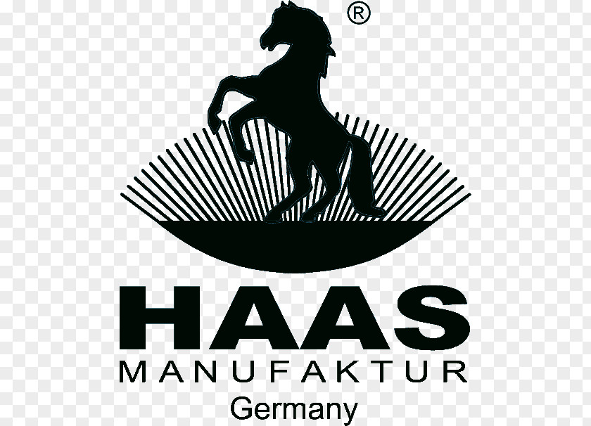 Spring Gatehouse Haas Cleaning Cloth 100% Cotton Logo Germany Brand Font PNG