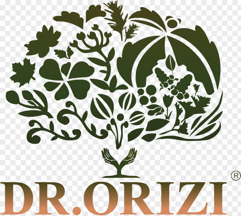 Doctors Team Dr. Orizi (M) Sdn. Bhd. Rice A1 Kilang Kosmetik Making Cosmetic Jalan Menglembu Utara 2 PNG