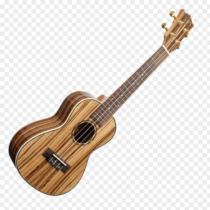 Guitar Ukulele Acoustic Musical Instruments PNG