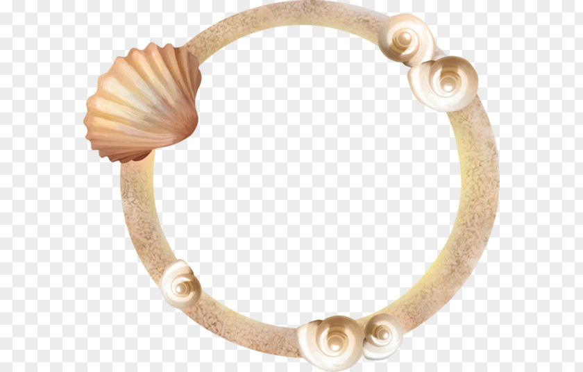 Seashell Bracelet PNG