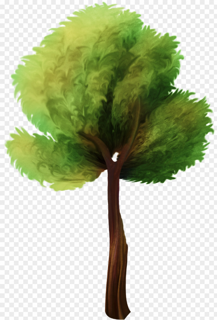 Tree Animation Clip Art PNG