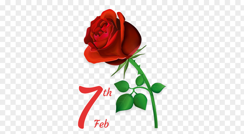 Valentine's Day Creative Design Urdu Poetry Hindi Love PNG