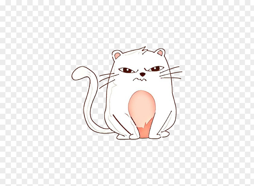 Cartoon Whiskers Cat Nose Snout PNG