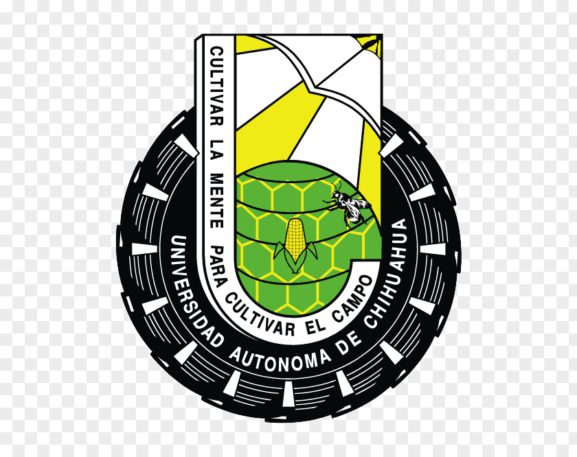 Economi Dorados Fuerza UACH Logo University Brand Emblem PNG