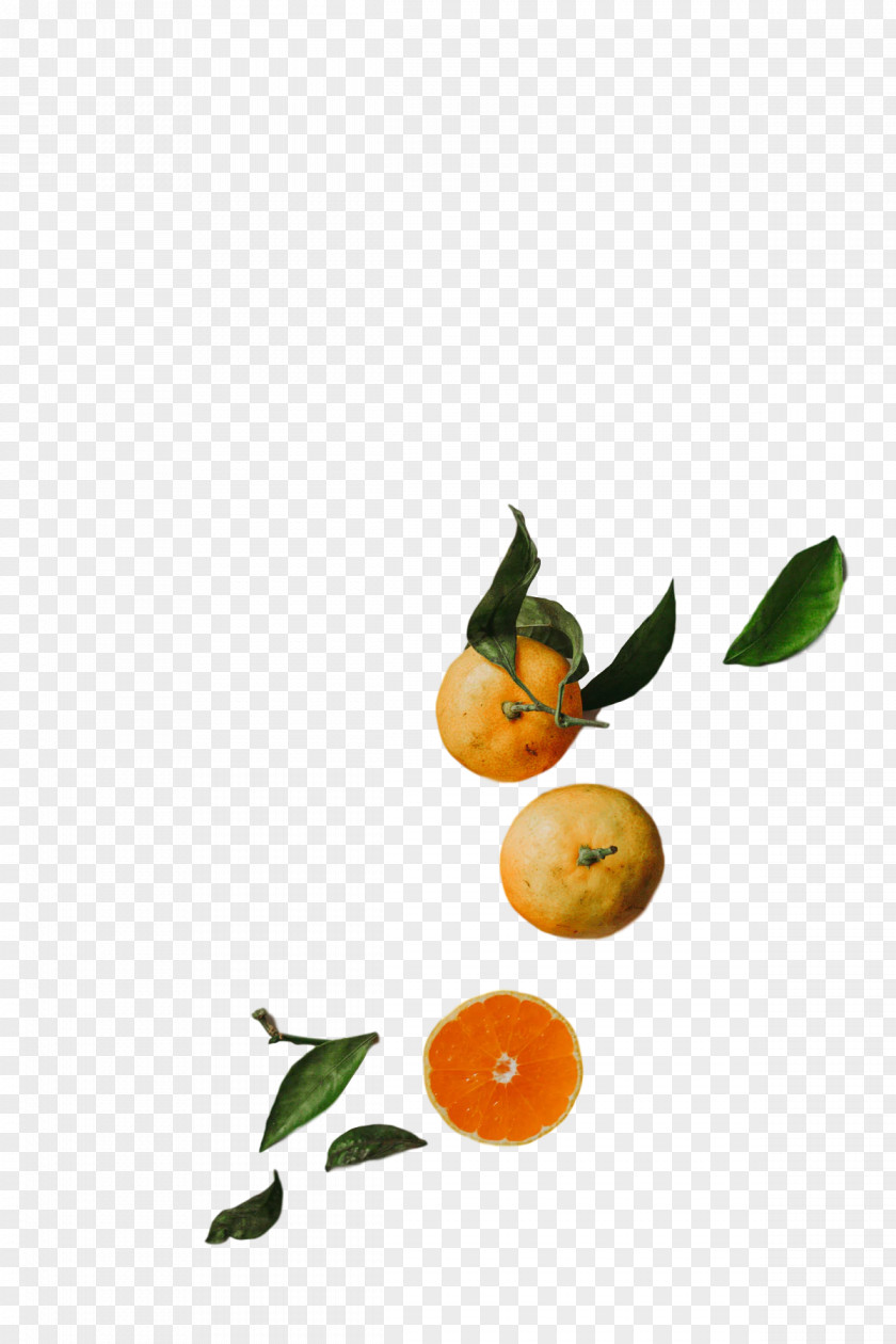 Orange PNG