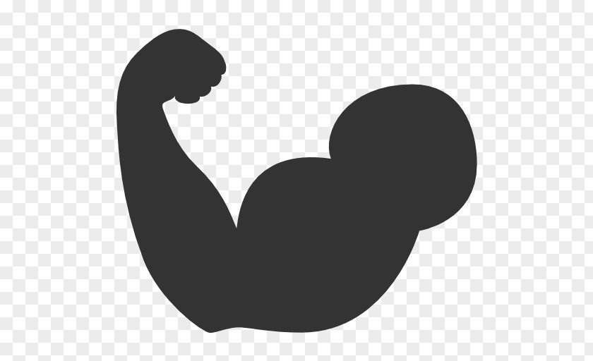 Biceps Muscle Clip Art PNG