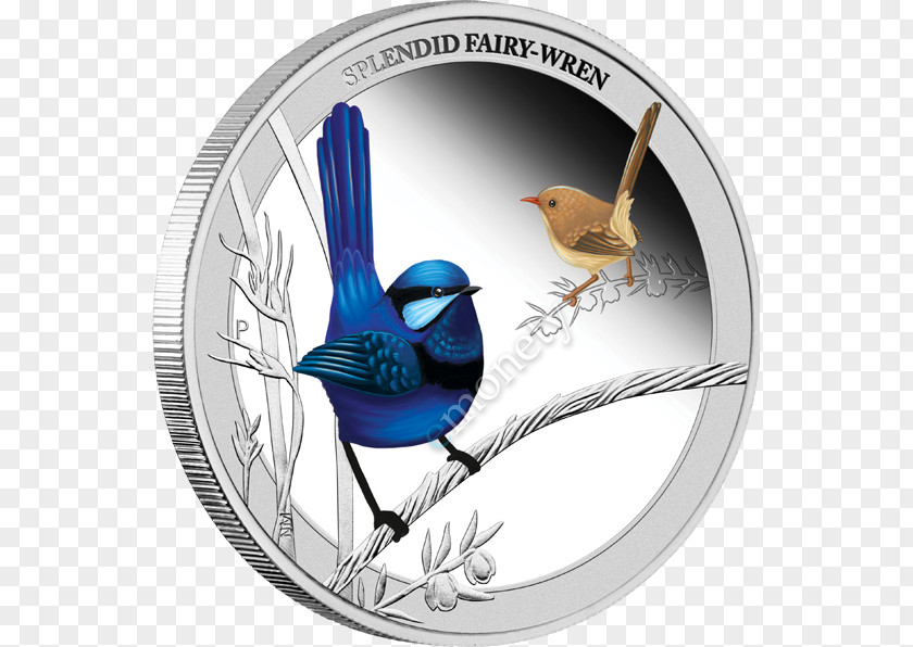 Bird Perth Mint Budgerigar Splendid Fairywren PNG