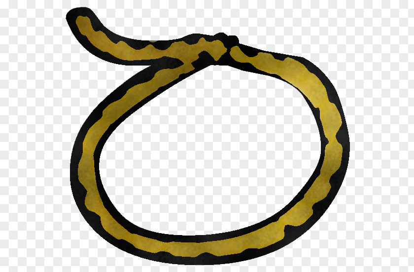 Colubridae Scaled Reptile Yellow Snake Serpent Python PNG