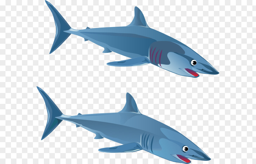 Free Shark Images Blue Great White Clip Art PNG