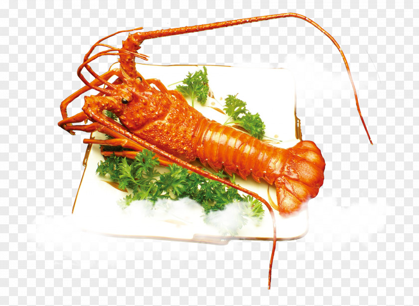 Lobster On The Wharf Palinurus Barbecue Factory Cookhouse & Dancehall PNG Dancehall, Lobsters clipart PNG