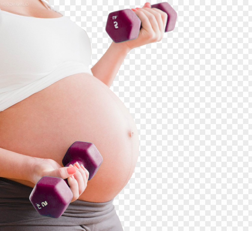 Pregnant Woman Mother Dumbbell Fitness Pregnancy PNG