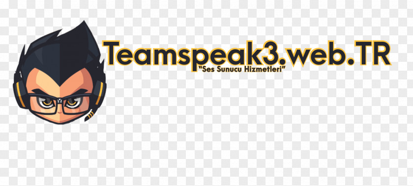 World Wide Web TeamSpeak SinusBot Hosting Service .tr PNG