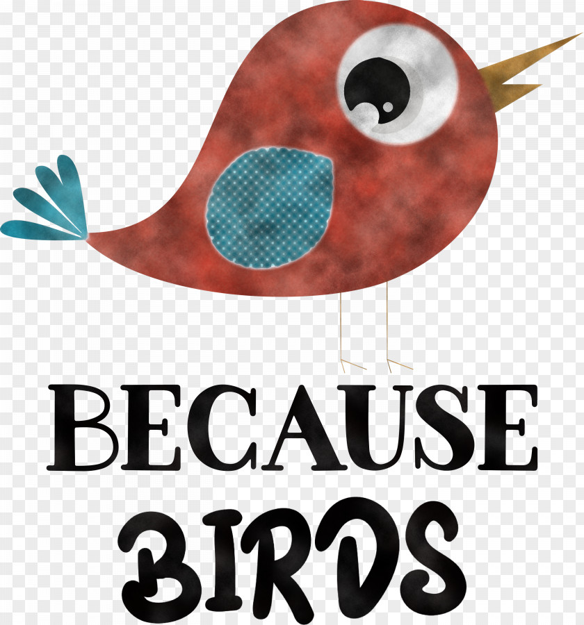 Because Birds Bird Animal PNG