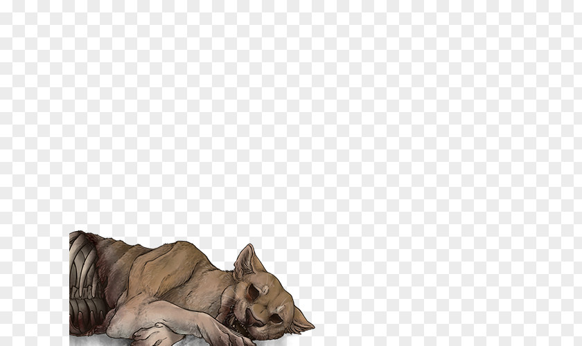 Cat Lion Dog Canidae Fur PNG