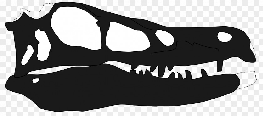 Dinosaur Linheraptor Vector Graphics Black And White Centrosaurus PNG