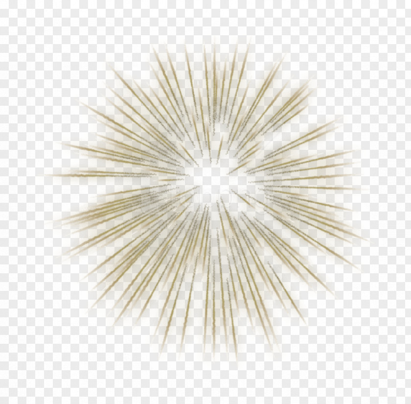 Firework Symmetry Clip Art Image Fireworks Transparency PNG