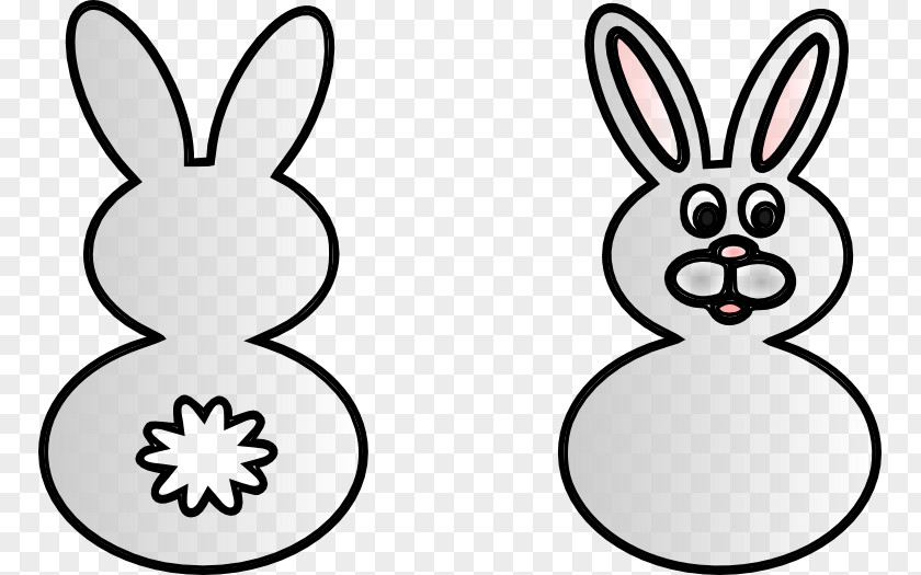 Rabbit Domestic Hare Easter Bunny European PNG