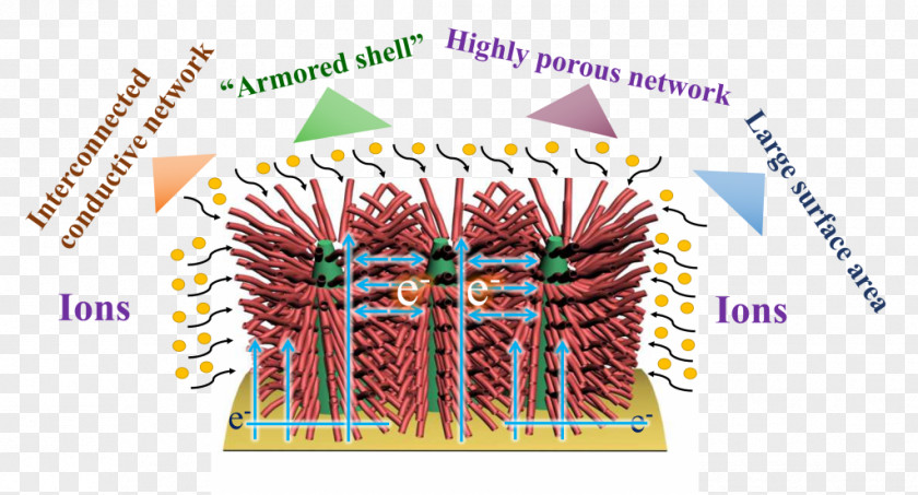 Shen Long Carbon Nanotube Supercapacitor Graphene Nanocső Porosity PNG