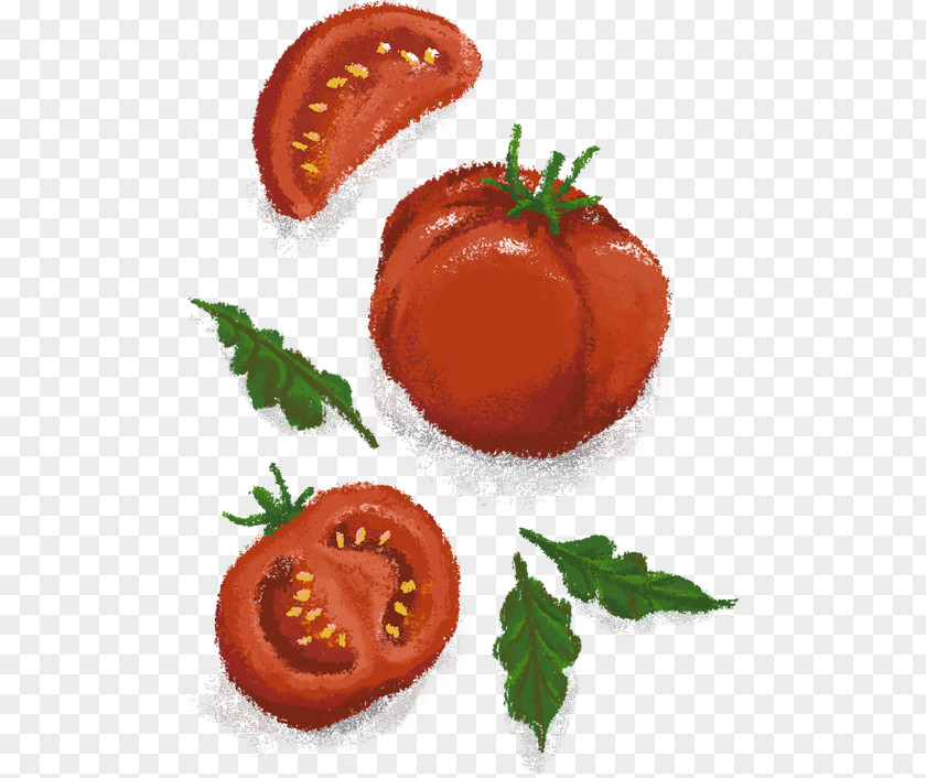 Creative Food Vegetarian Cuisine Vegetable Garnish Tomato PNG