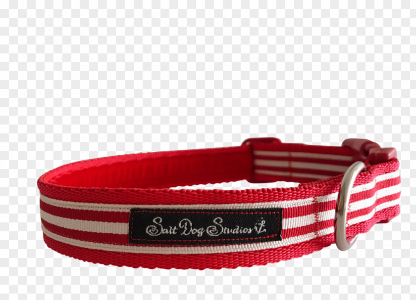 Dog Collar Webbing Fashion PNG