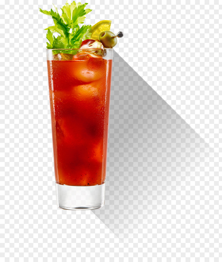 Mary Bloody Cocktail Tomato Juice Vodka Sea Breeze PNG