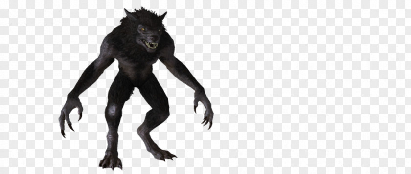 Werewolf Bigfoot Michigan Dogman Gray Wolf PNG